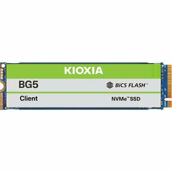 Kioxia SSD corporation 256GB NVMe KBG50ZNV256G bulk