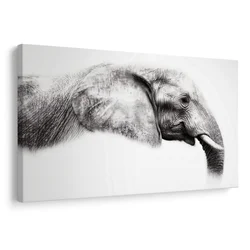 Slika eleganten profil slona - 90x60