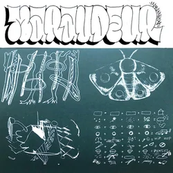 Maraudeur - Puissance 4 (LP)