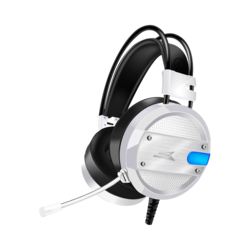 BARACUDA BGH 041 Conch Bele