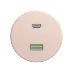 Reblig - Retro USB utičnica A+C bez okvira staroružičasta