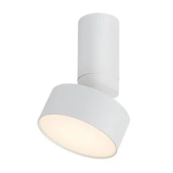 Rabalux Spot lampa Ovidia, Nadgradna, Podesiva, LED, 10W, 3000K, Bela