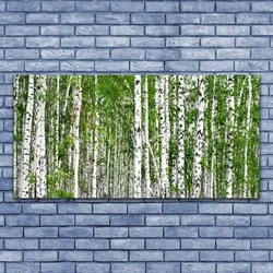tulup.si Slika na akrilnem steklu Birch tree forest narava 140x70 cm 4 obešalnika