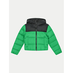 4F Puhovka 4FJWAW24TDJAM462 Zelena Regular Fit
