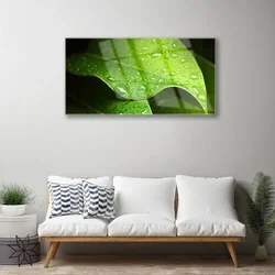 tulup.si Slika na akrilnem steklu Dew drops leaf 120x60 cm 2 obešalnika