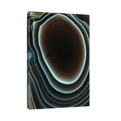 Canvas Slika na platnu Ahat Bocvana – Afrika, Bez rama, 30 x 45 cm