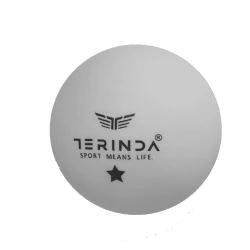 TERINDA Žogice za namizni tenis 60 kom