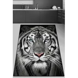 Conceptum Hypnose Tepih, 150x240cm, Šareni