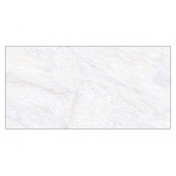 Stone Light Grey Glossy (3519) 30x60