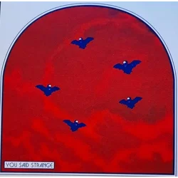 You Said Strange - Mourning Colors (LP)