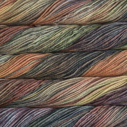Malabrigo Rios 859 Primavera