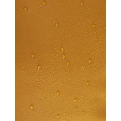 THULE Chasm Vodootporna torba/ranac 90L - Golden
