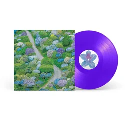 Fiddlehead - Between the Richness (Violet Coloured) (LP)