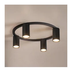 Brilagi - Plafonsko svetlo SELE 4xGU10/30W/230V crno