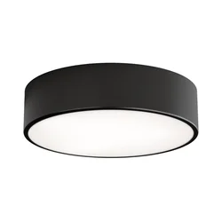LED plafonsko svetlo CLEO LED/24W/230V 3000K prečnik 30 cm crno