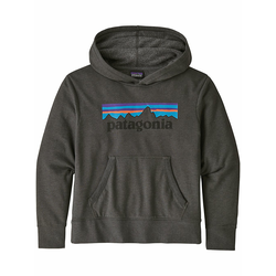 Patagonia LW Graphic Hoodie p6 logo forge grey Gr. L