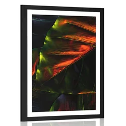 Plakat s paspartujem tropski palmovi listi - 40x60 no frame