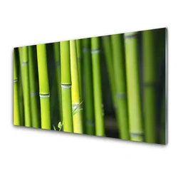 tulup.si Steklena slika Narava bamboo rastlin 120x60 cm 2 obešalnika