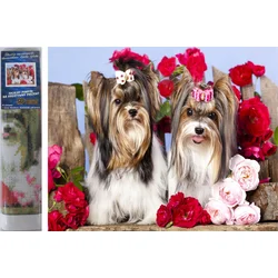 Norimpex - Puzzle Diamantna slika Psi v vrtnicah 30x40cm - 1 - 39 kosov