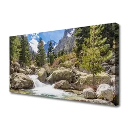 tulup.si Slika na platnu Stones river mountain forest 120x60 cm