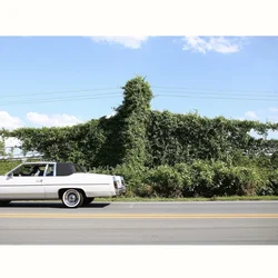 Cory Branan - When I Go I Ghost (Limited Edition) (LP)