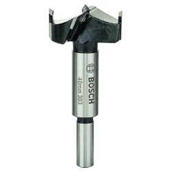 Bosch Umetnička burgija, tvrdi metal 2608597616, 40 x 90 mm, d 10 mm