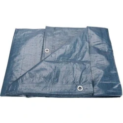 Extol Craft Extol Craft ponjava (16123) srednje debela 100g/m2, 3x4m, PE