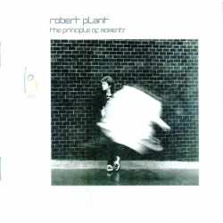 Robert Plant The Principle of Moments (CD)