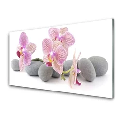 tulup.si Steklena slika Tree rastlin stones 140x70 cm 4 obešalnika