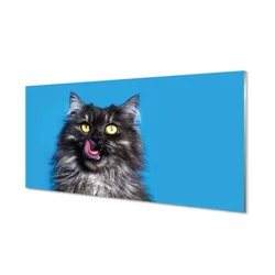 tulup.si Slika na akrilnem steklu Oblizujšcy mačka 120x60 cm 4 obešalnika