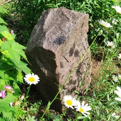 Taidekivi Baštenski kamen, Bež, H50 cm, O35 cm