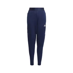 ADIDAS PERFORMANCE Športne hlače modra/bela
