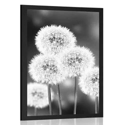 Plakat puhasta regratova lučka v črnobeli varianti - 60x90 silver