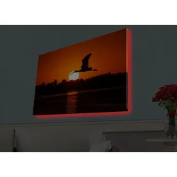Wallity Slika sa LED osvetljenjem 4570HDACT-032, 45x70 cm
