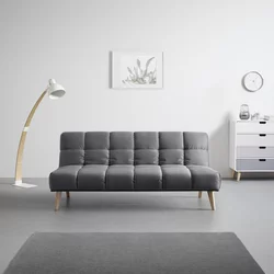 Bessagi Home Zofa S Posteljno Funkcijo Alva