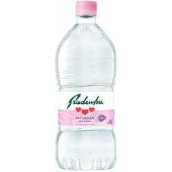VODA NEGAZIRANA RADENSKA 1L PET