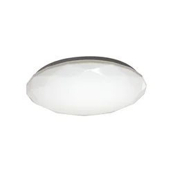 LED plafonsko svetlo IRIDIO 1xLED/36W/230V