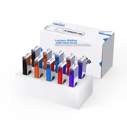 Lankxin USB Flash memorija, 256MB, USB 2.0, 10 komada, Višebojna