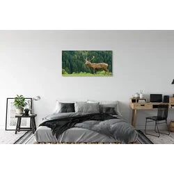 tulup.si Slika na platnu Deer na področju 100x50 cm