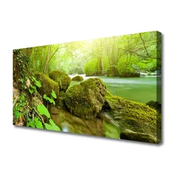 tulup.si Slika na platnu Lake river narava 125x50 cm