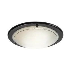 Rabalux 5133 - Plafonsko svetlo UFO 2xE27/60W/230V prečnik 38 cm
