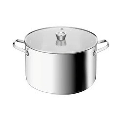 Tefal - Lonec s pokrovom EMOTION+ XL 30 cm