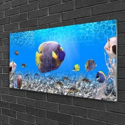 tulup.si Steklena slika Ribe narava 100x50 cm 4 obešalnika