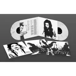 My Ruin - Speak & Destroy (Limited Edition) (Coloured) (2 LP)