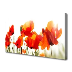 tulup.si Slika na platnu Rastlinskih mak naravi 125x50 cm