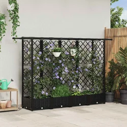 Povišeni krevet s mrežom i krovom Crna 202,5 x 40 x 123 cm PP