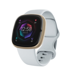 FITBIT Pametni sat FB521GLBM Sense 2 svetloplavi