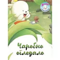 Miki slikovnica: Čarobno ogledalo