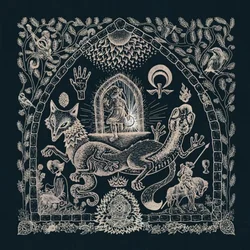 Petrels - The Dusk Loom (LP)