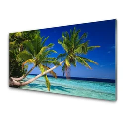 tulup.si Steklena slika Palm tree morje landscape 120x60 cm 2 obešalnika
